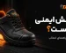 کفش ایمنی چیست
